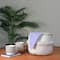 15" Beige & White Large Seagrass Belly Basket with Handles